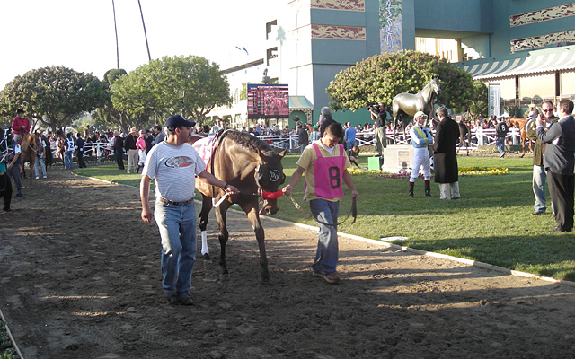 サンタアニタパーク競馬場 イメージ3