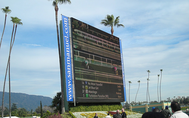 サンタアニタパーク競馬場 イメージ4