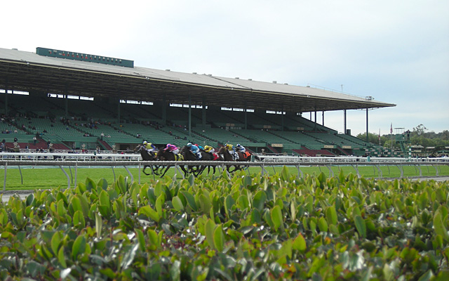 サンタアニタパーク競馬場 イメージ5