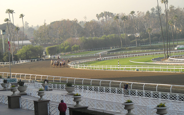 サンタアニタパーク競馬場 イメージ6