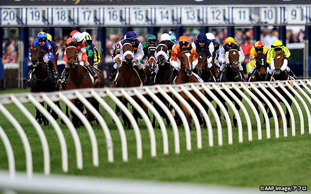 コーフィールド競馬場 イメージ4