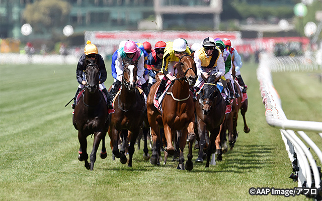 フレミントン競馬場 イメージ3