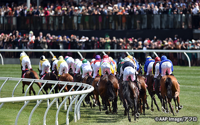 フレミントン競馬場 イメージ4
