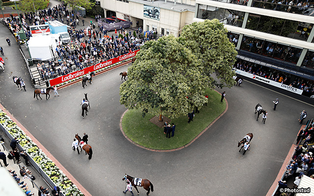 ムーニーバレー競馬場 イメージ2