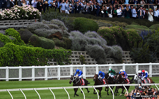 コーフィールド競馬場 イメージ4