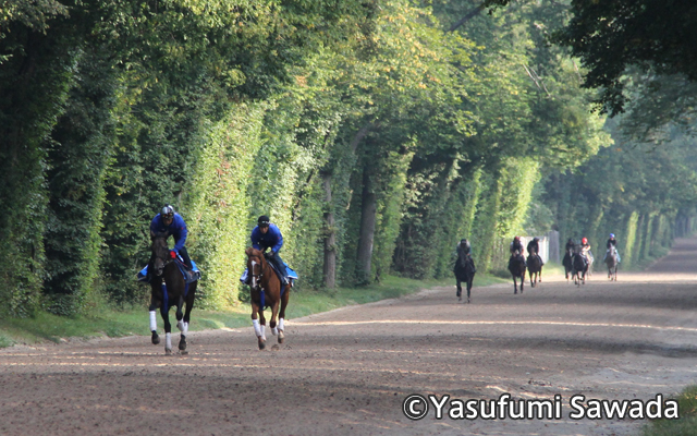 シャンティイ競馬場 イメージ3