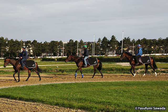 ドーヴィル競馬場 イメージ2