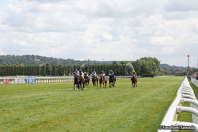 ドーヴィル競馬場 イメージ3