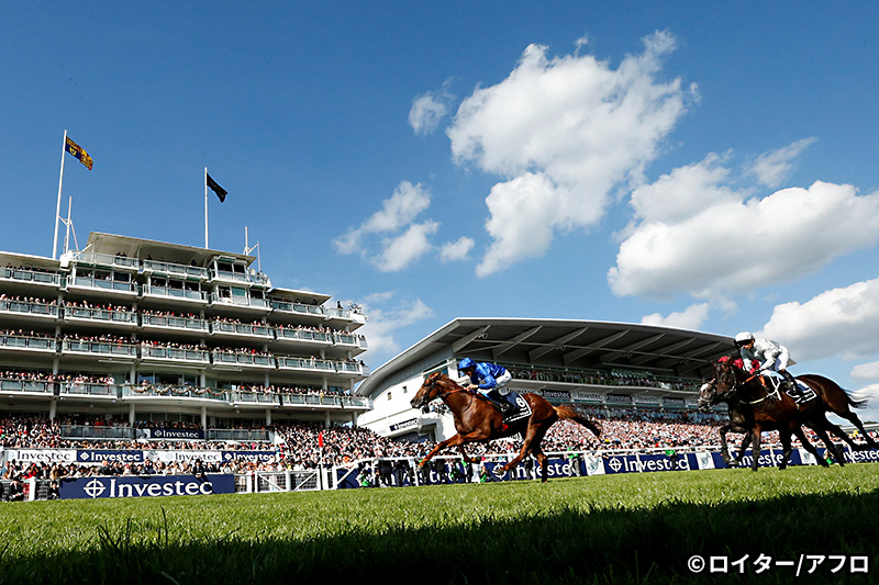 �C�M���X���n�C���[�W�ʐ^1