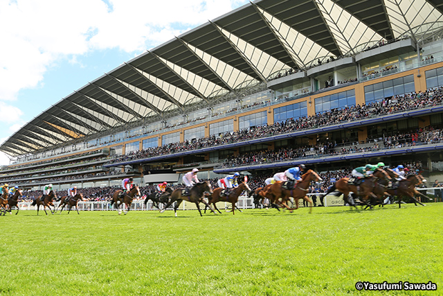 �A�X�R�b�g���n�� �C���[�W1