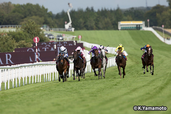 �O�b�h�E�b�h���n�� �C���[�W1