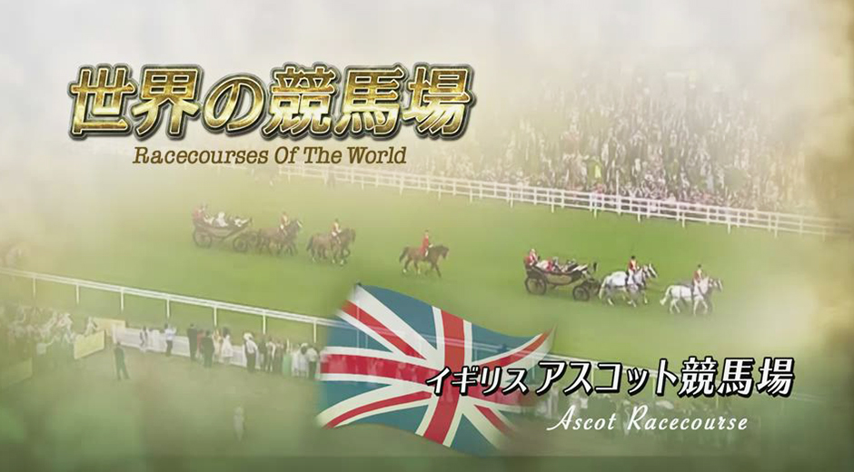 �A�X�R�b�g���n��@�Љ�[�r�[