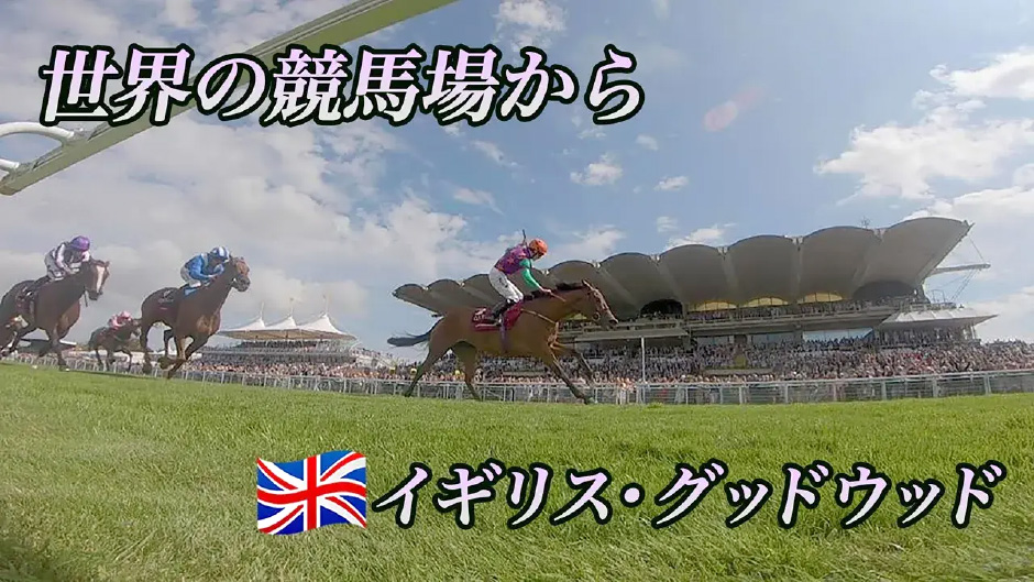 �O�b�h�E�b�h���n��@�Љ�[�r�[