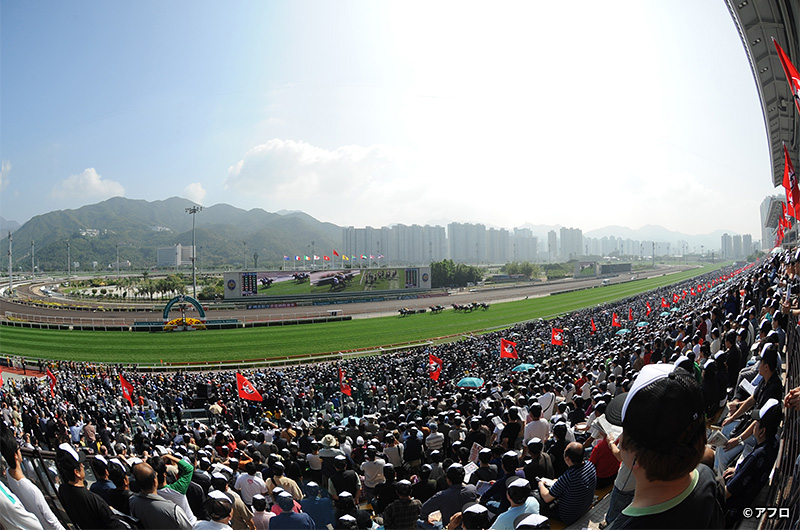 香港競馬イメージ写真1