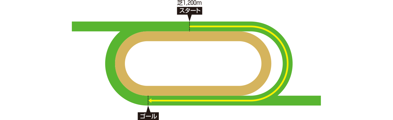 シャティン競馬場 コース図