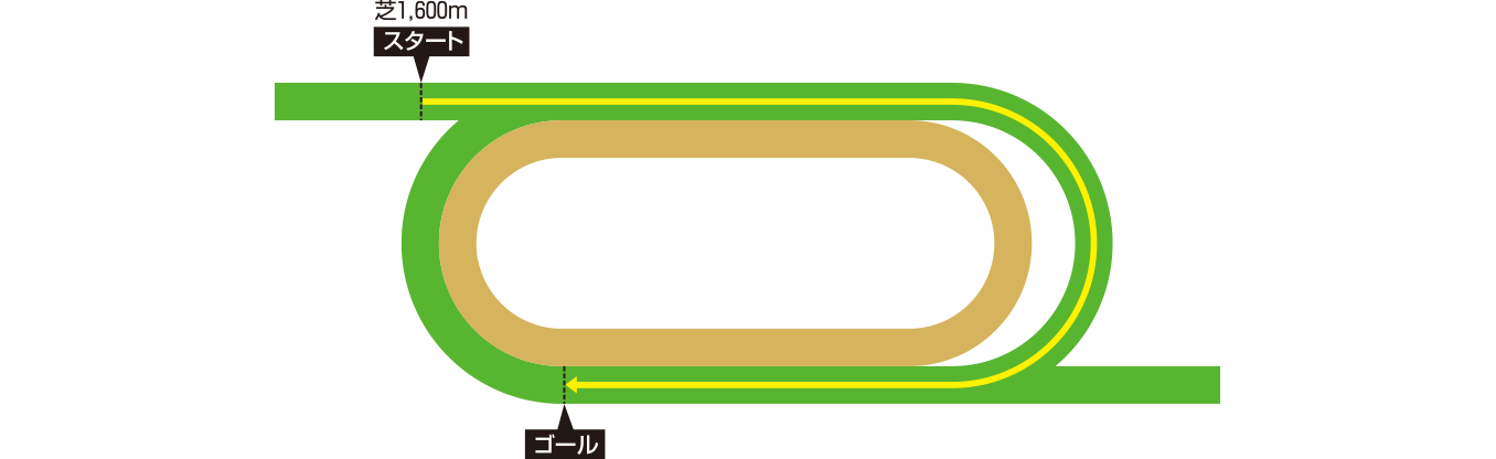 シャティン競馬場 コース図