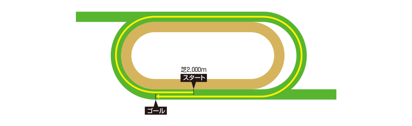 シャティン競馬場 コース図