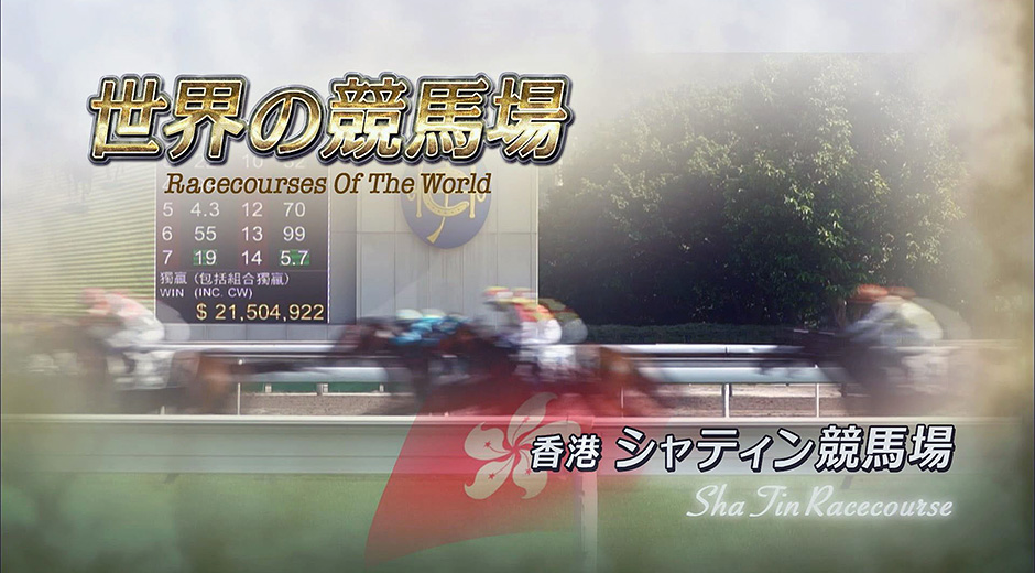 �V���e�B�����n��@�Љ�[�r�[