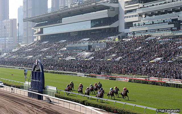 シャティン競馬場 イメージ1