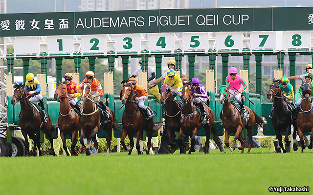 シャティン競馬場 イメージ2