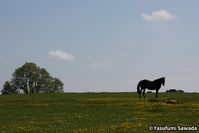 �A�C�������h���n�C���[�W�ʐ^2