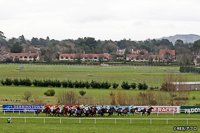 ���p�[�Y�^�E�����n�� �C���[�W2