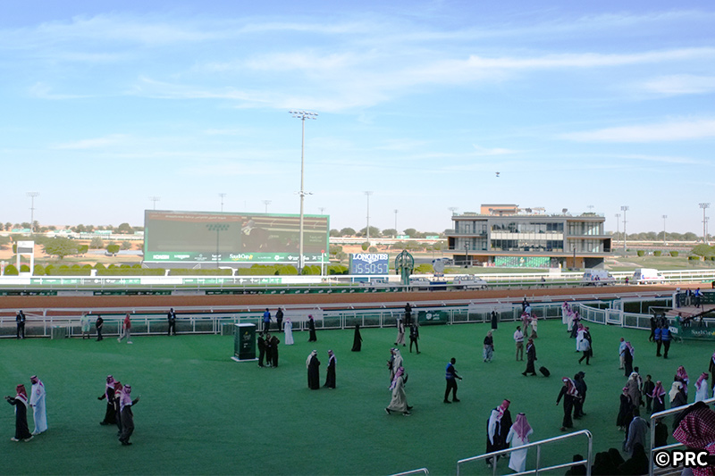 �T�E�W�A���r�A���n�C���[�W�ʐ^2