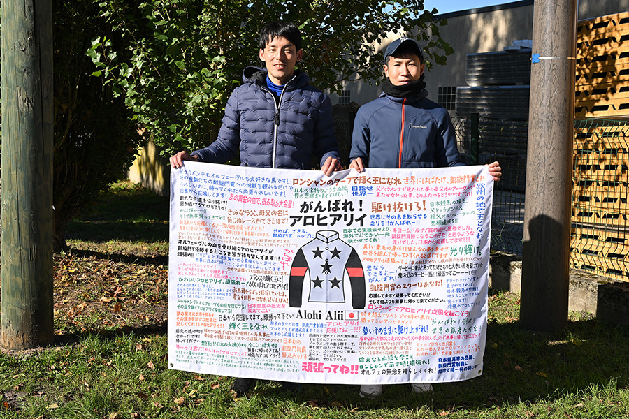 アロヒアリイ フラッグの画像