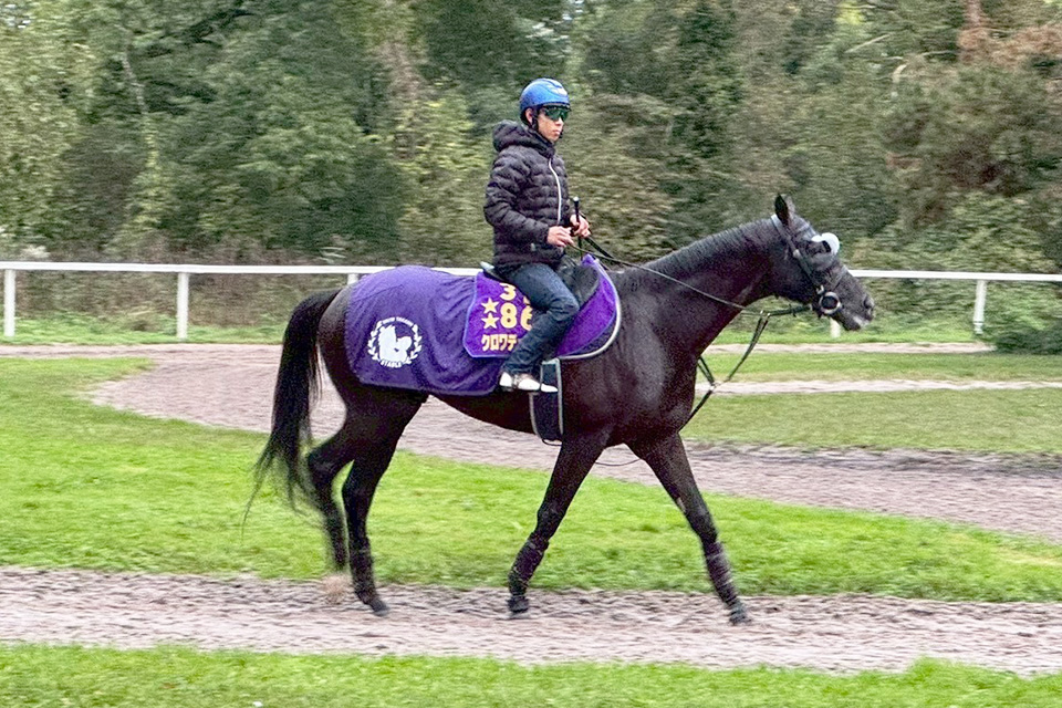 クロワデュノールの画像