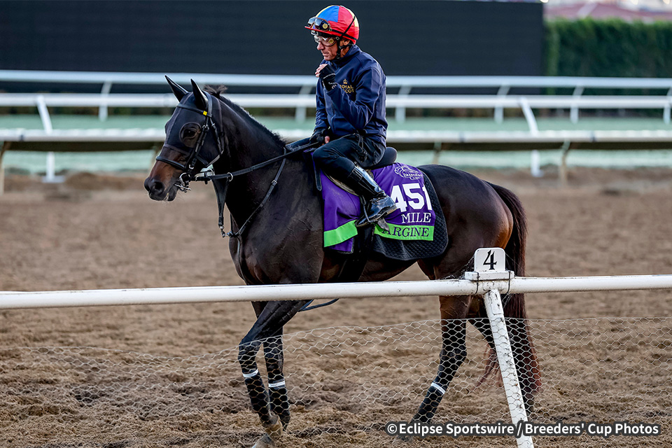 アルジーヌの画像