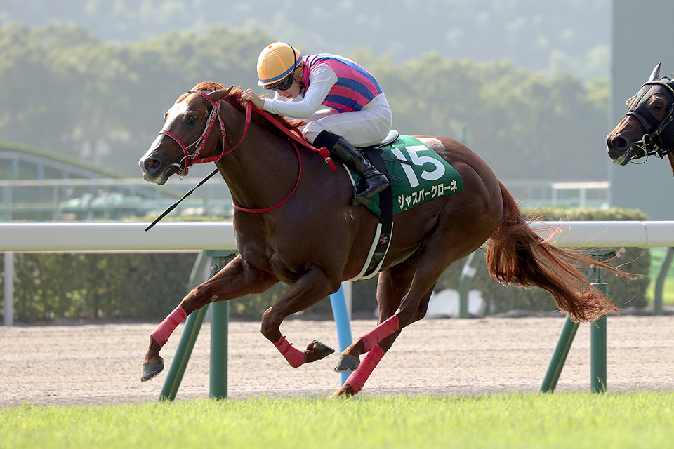 ジャスパークローネの画像