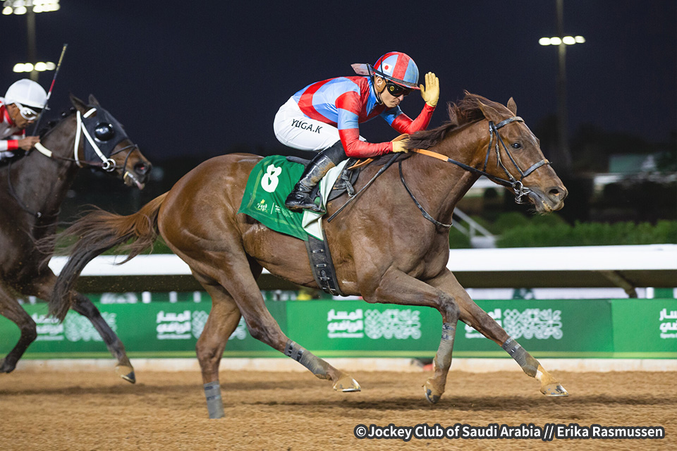 リメイクの画像