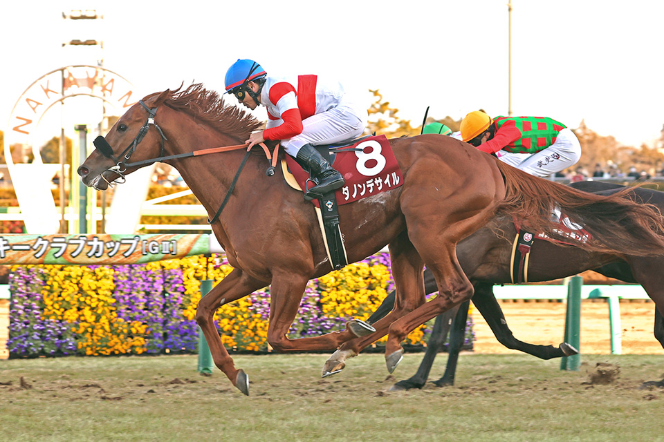 ダノンデサイルの画像