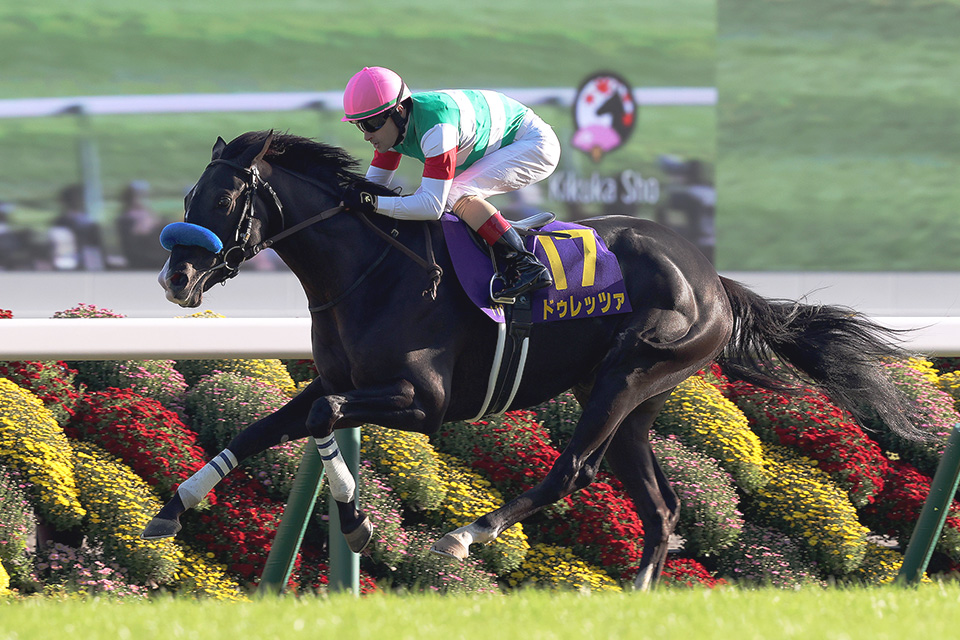 ドゥレッツァの画像