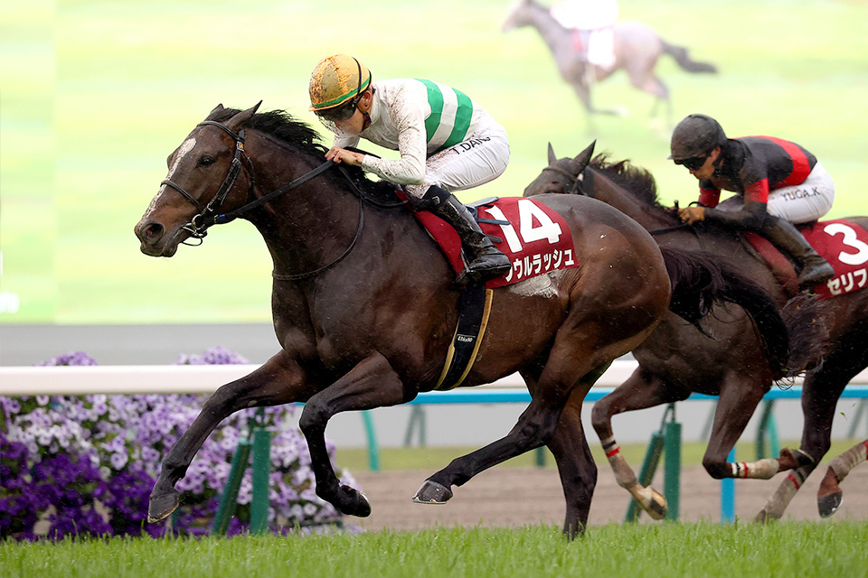 ソウルラッシュの画像