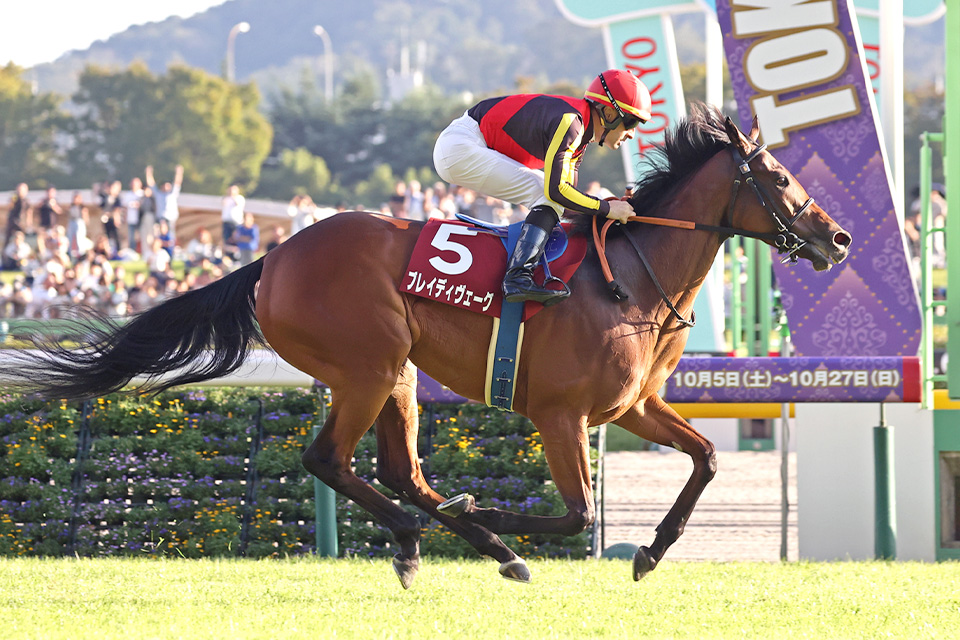 ブレイディヴェーグの画像