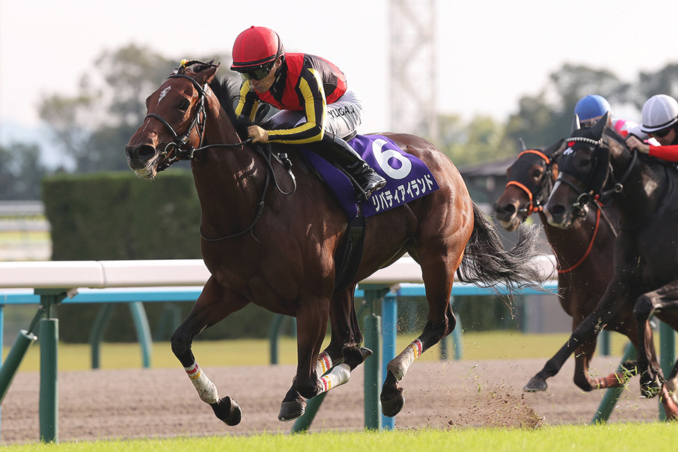 リバティアイランドの画像