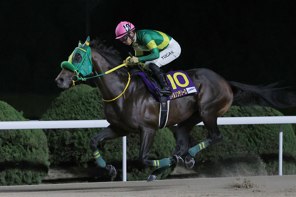 ウィルソンテソーロの画像