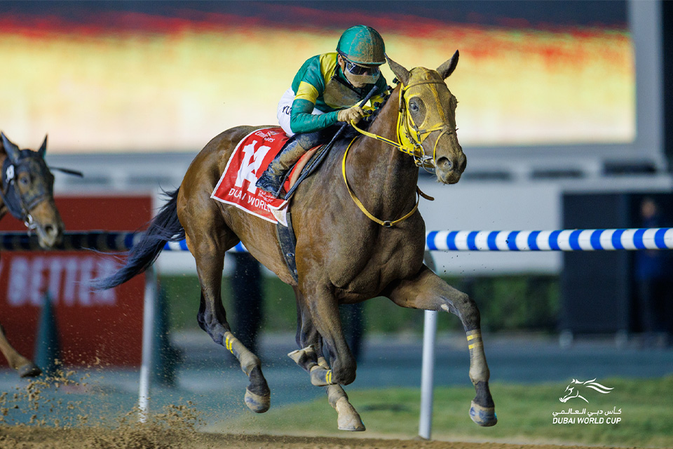 ウシュバテソーロの画像