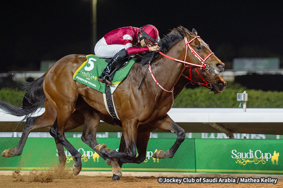 フォーエバーヤングの画像