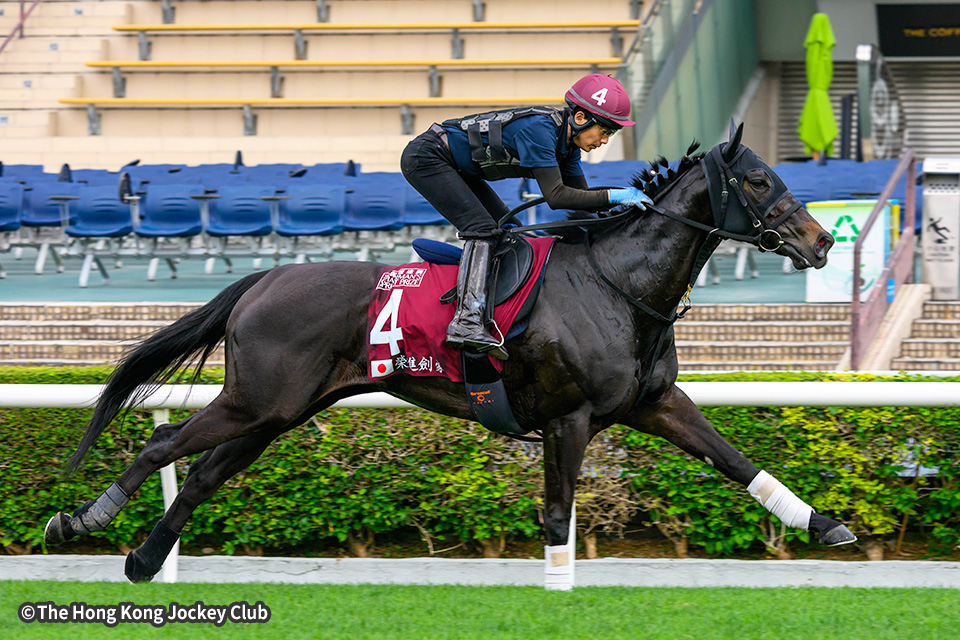 エイシンフェンサーの画像