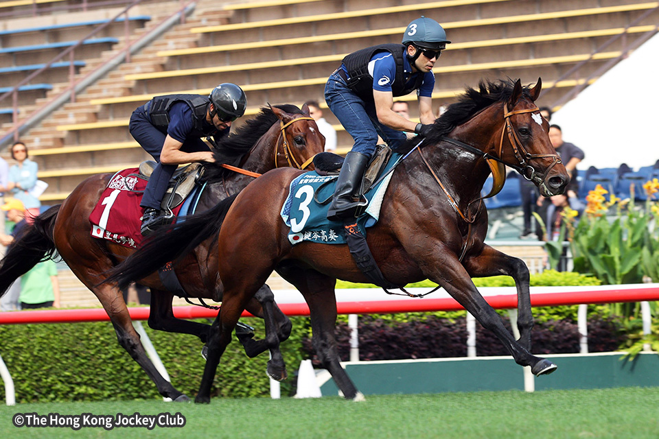 タスティエーラの画像