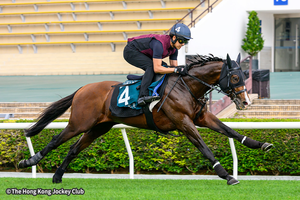 プログノーシスの画像