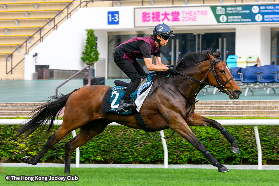 リバティアイランドの画像