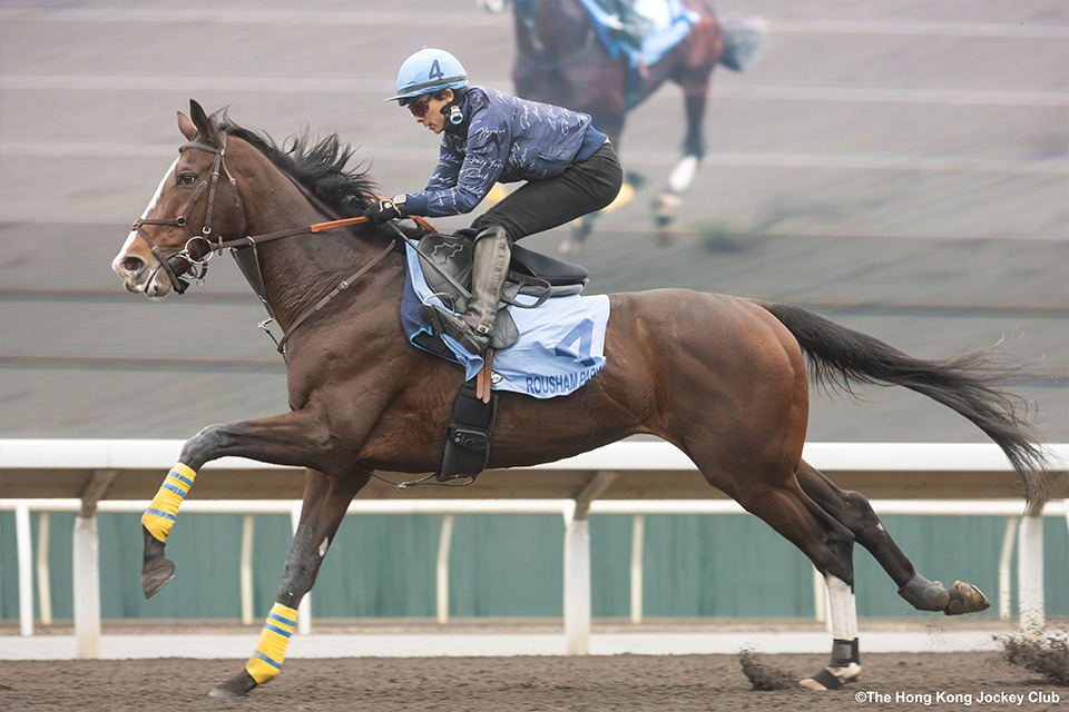 ローシャムパークの画像