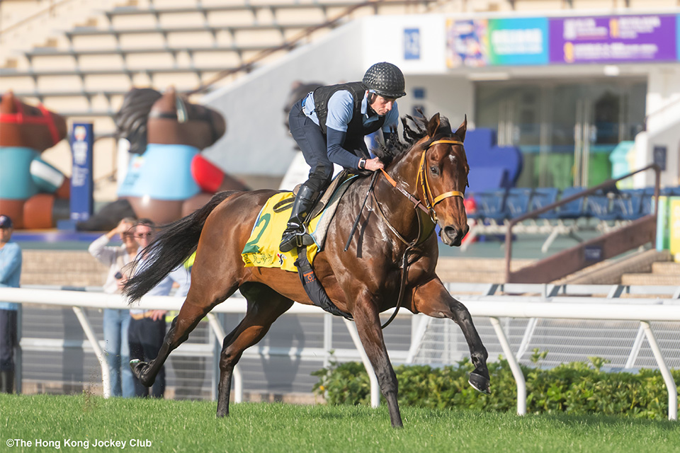 �T�g�m���[���̉摜