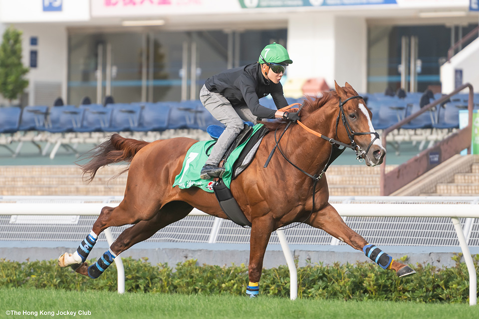 �A�[�o���V�b�N�̉摜