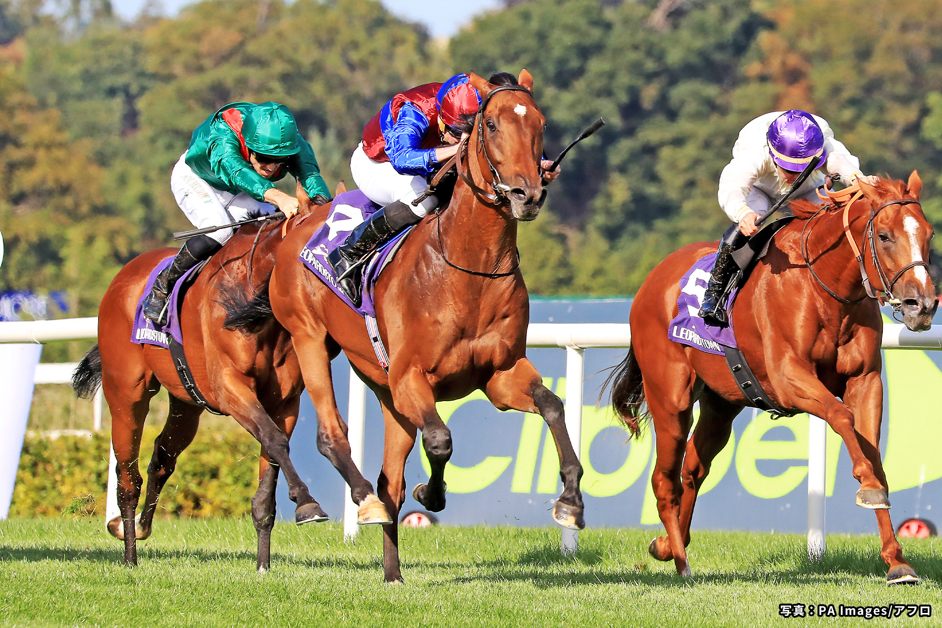 2022�N �D���n�F���N�Z���u���N