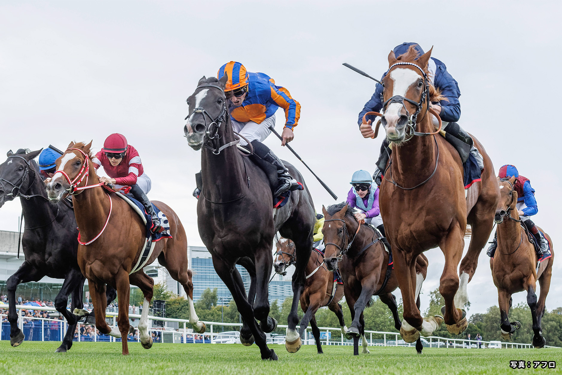 2024�N �D���n�F�G�R�m�~�N�X