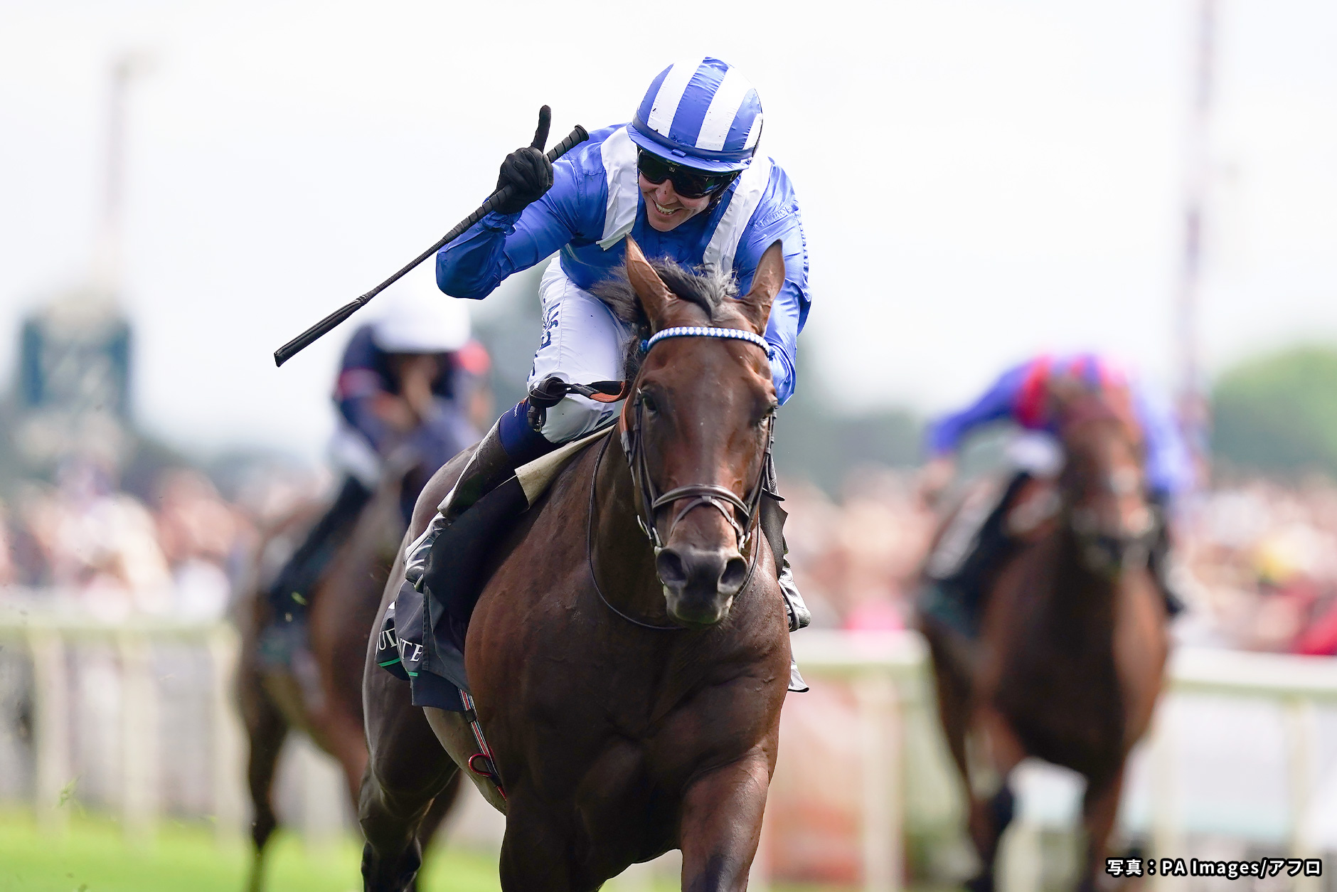 2022�N �D���n�F�o�[�C�[�h